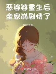 重生恶婆婆讲的是什么