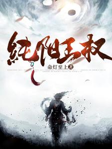 纯阳王权