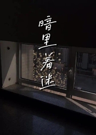暗里着迷网剧男女主差多少