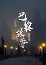 玻璃刮水板大号